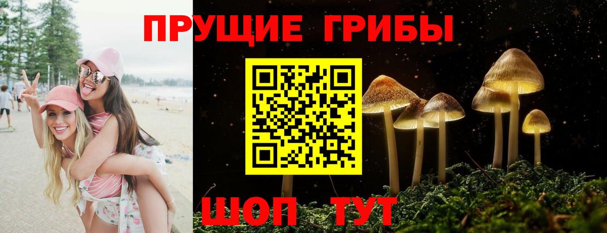 Знаменск  Галлюциногенные грибы Psilocybine cubensis  Вход с VPN 